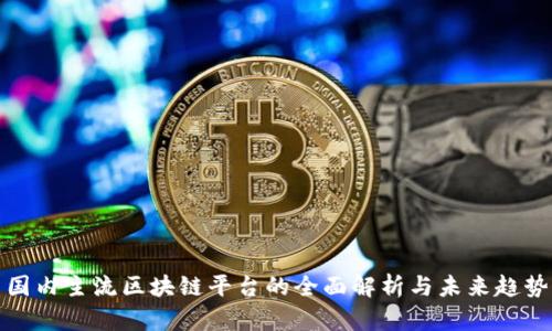 国内主流区块链平台的全面解析与未来趋势
